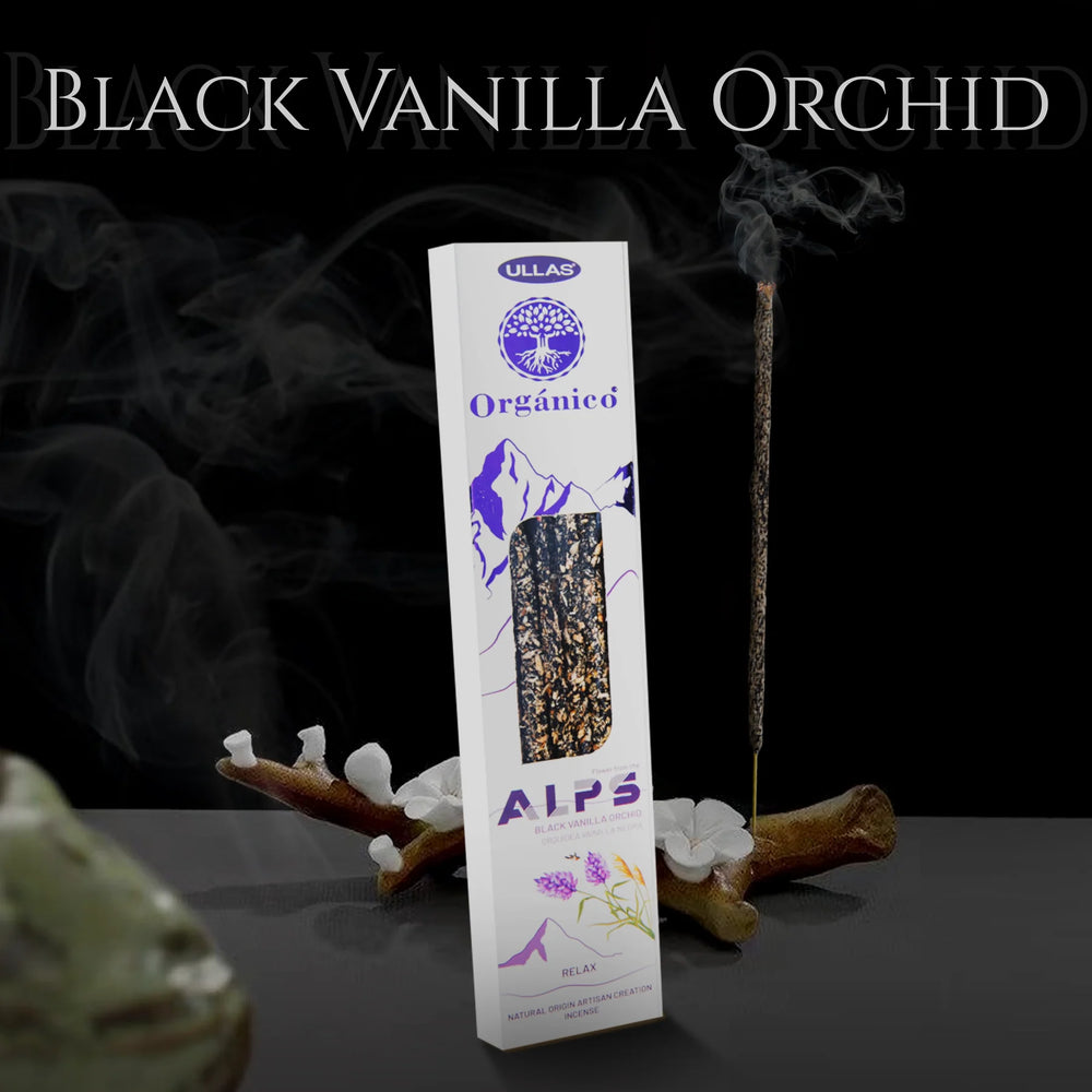Ullas Alps Black Vanilla Orchid